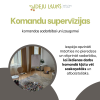 Komandu supervīzijas